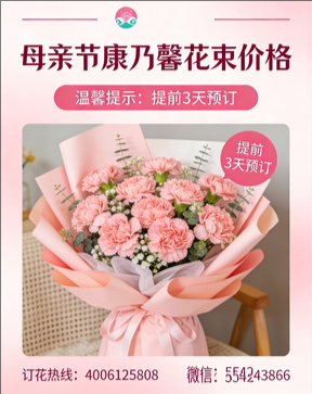 河池环江县花店母亲节康乃馨花束