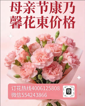 河池环江县花店母亲节康乃馨花束